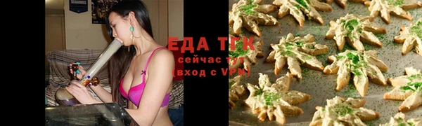 индика Медногорск