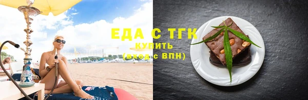 индика Медногорск