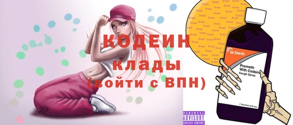индика Медногорск