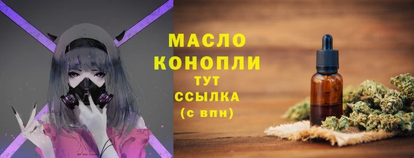 индика Медногорск