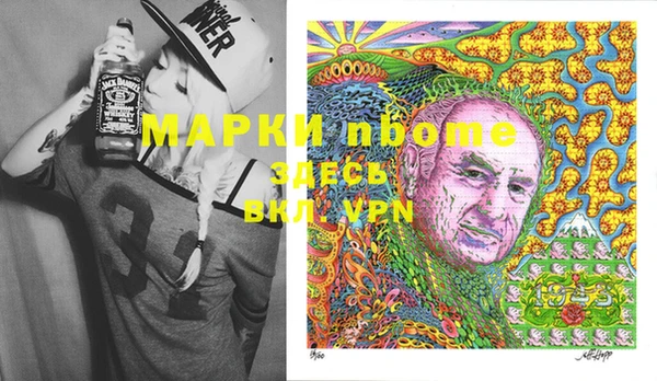 индика Медногорск