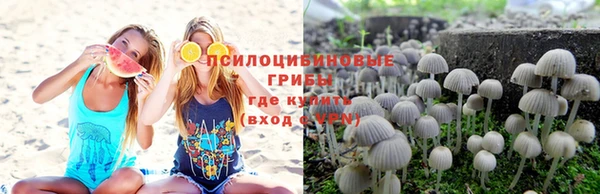 a pvp Медвежьегорск