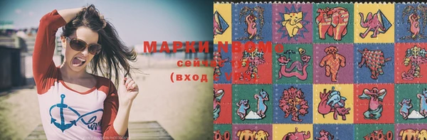 индика Медногорск